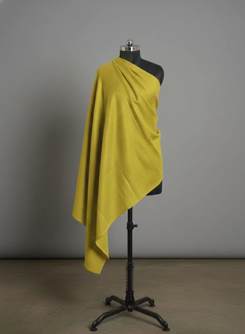 baraqah parrot green color pure pashmina for females 